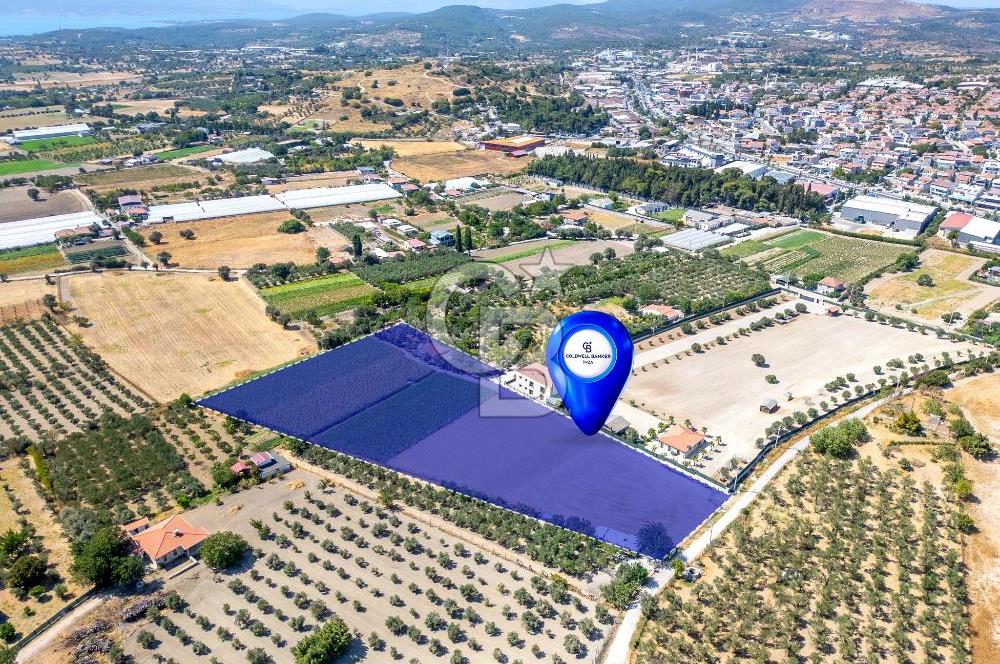 URLA SIRA MAH. 11.155 M2 SATILIK ARAZİ