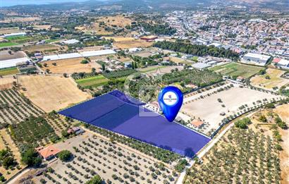 URLA SIRA MAH. 11.155 M2 SATILIK ARAZİ
