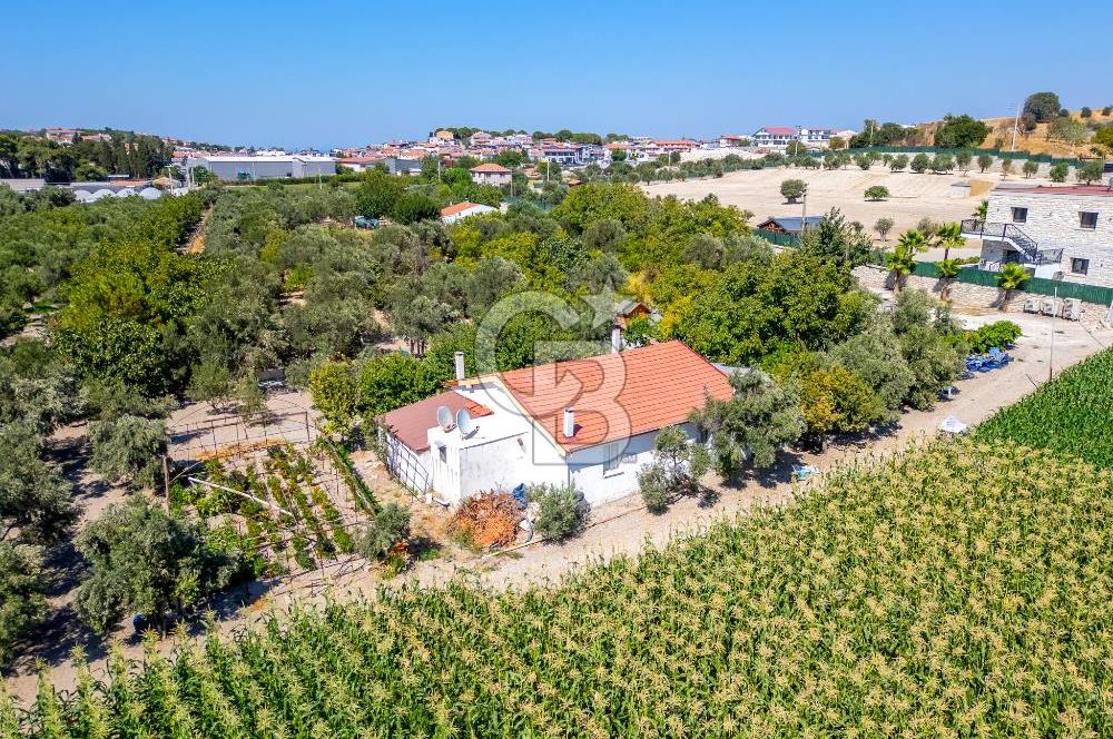 URLA SIRA MAH. 11.155 M2 SATILIK ARAZİ