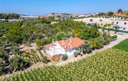 URLA SIRA MAH. 11.155 M2 SATILIK ARAZİ