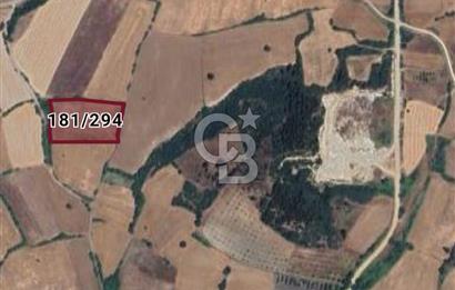 CB EAGLE DAN BALIKESİR TAŞÖYDE SATILIK TARLA