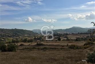 Muğla İli, Menteşe İlçesi, Yenibağyaka Mahallesi, Çelebi Mevkii'nde Satılık Tarla!
