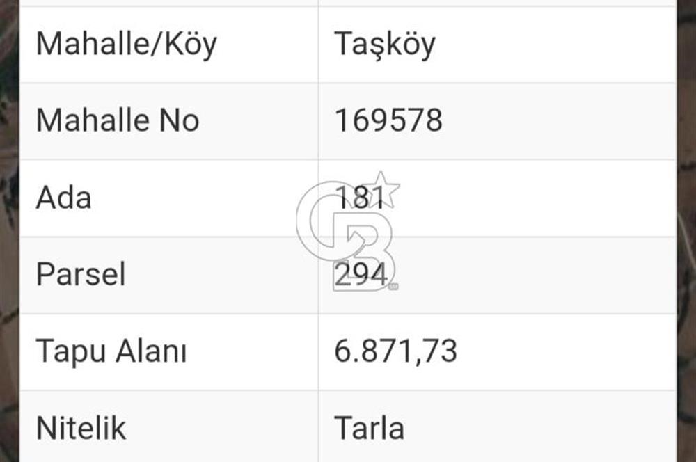 CB EAGLE DAN BALIKESİR TAŞÖYDE SATILIK TARLA