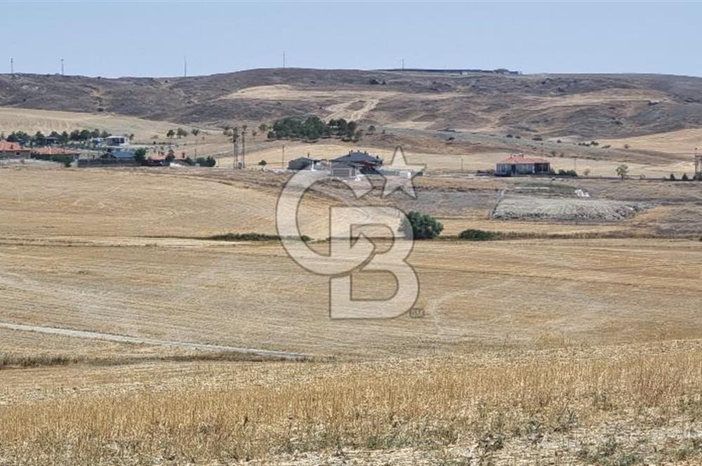 CB VİZYON FİLİZ DUMAN'DAN GÖLBAŞI'NDA TEK TAPU KÖY YANI TARLA