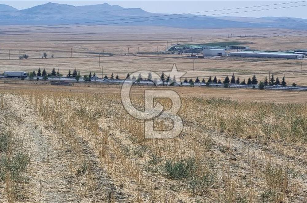 CB VİZYON FİLİZ DUMAN'DAN GÖLBAŞI'NDA TEK TAPU KÖY YANI TARLA