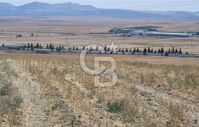 CB VİZYON FİLİZ DUMAN'DAN GÖLBAŞI'NDA TEK TAPU KÖY YANI TARLA