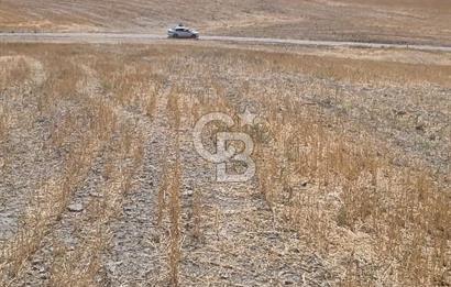 CB VİZYON FİLİZ DUMAN'DAN GÖLBAŞI'NDA TEK TAPU KÖY YANI TARLA