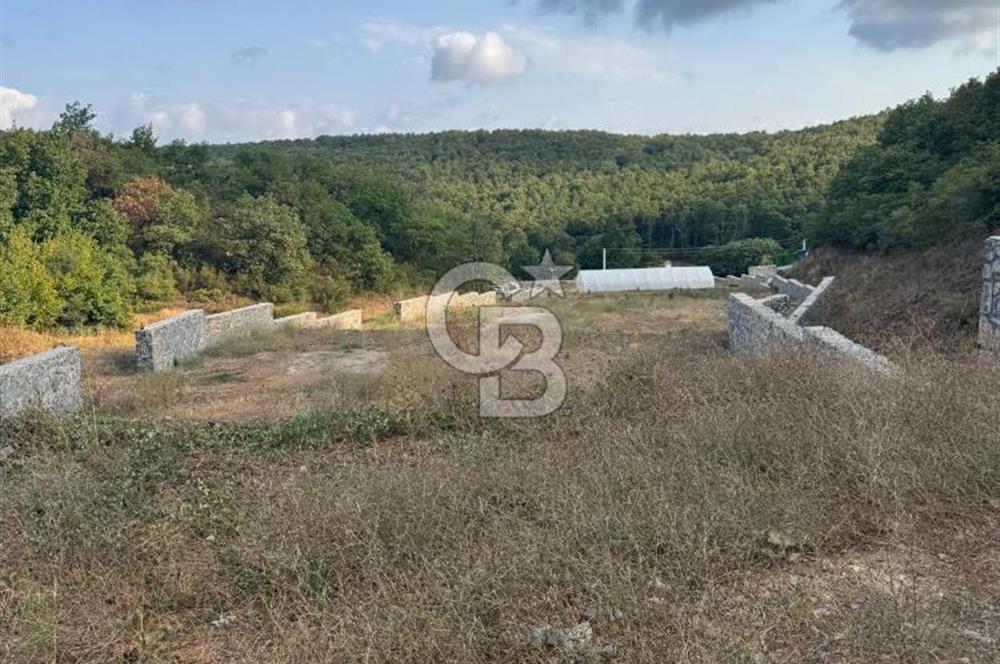 Gebze Ovacık'ta Fırsat Arazi 