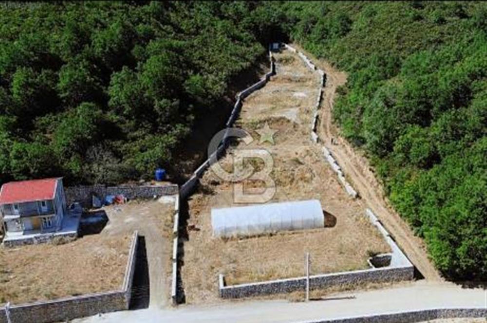 Gebze Ovacık'ta Fırsat Arazi 