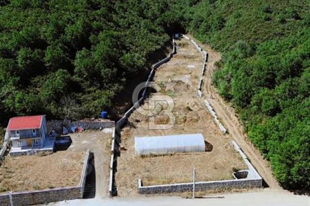Gebze Ovacık'ta Fırsat Arazi 