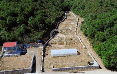 Gebze Ovacık'ta Fırsat Arazi 