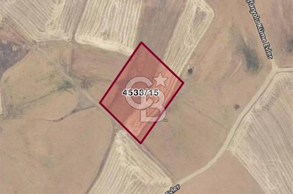 AKYURT ÇINARDA 7900m2 SATILIK TARLA *FIRSAT*