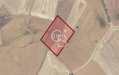 AKYURT ÇINARDA 7900m2 SATILIK TARLA *FIRSAT*