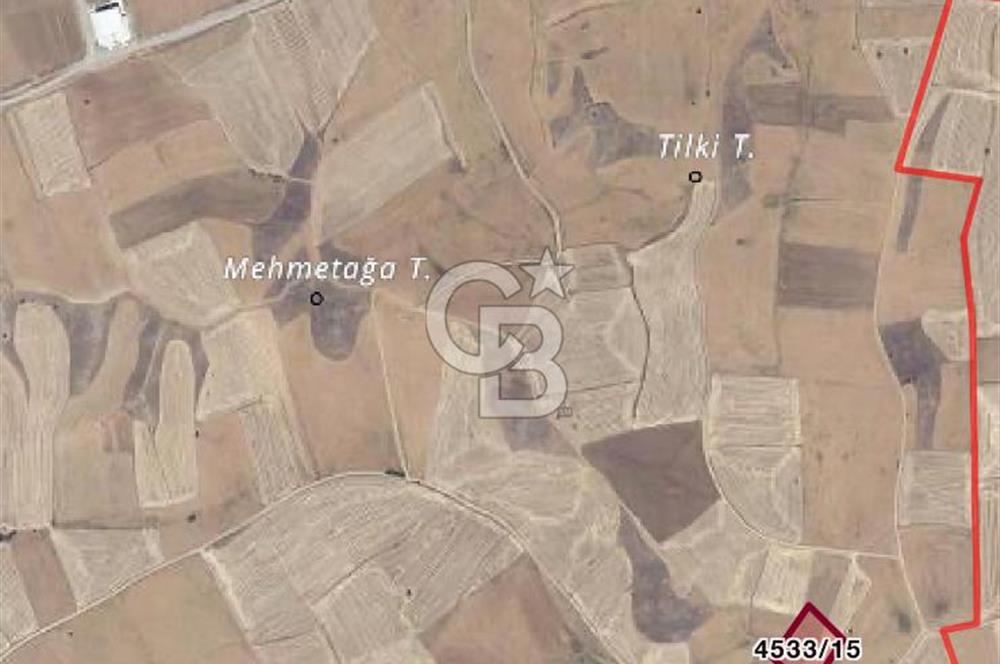 AKYURT ÇINARDA 7900m2 SATILIK TARLA *FIRSAT*