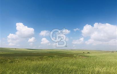 AKYURT ÇINARDA 7900m2 SATILIK TARLA *FIRSAT*