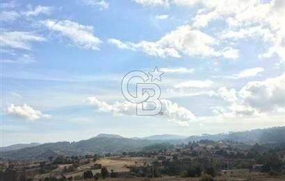 Muğla İli, Menteşe İlçesi, Yenibağyaka Mahallesi, Çelebi Mevkii'nde Satılık Tarla!
