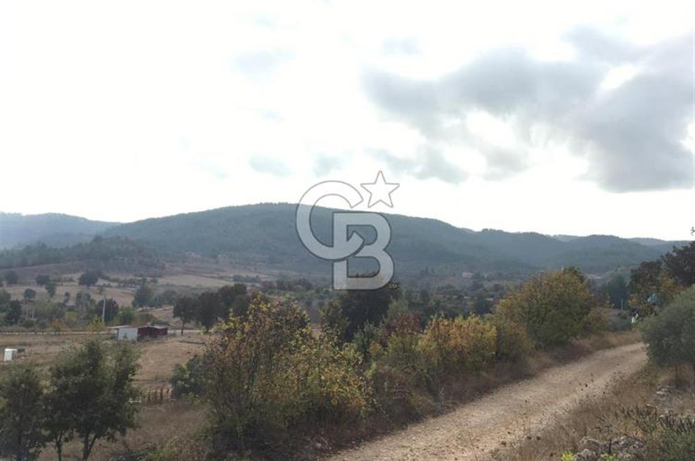 Muğla İli, Menteşe İlçesi, Yenibağyaka Mahallesi, Çelebi Mevkii'nde Satılık Tarla!