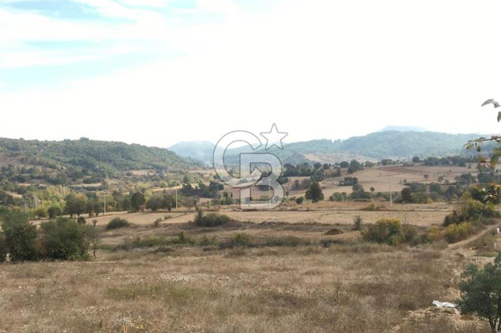 Muğla İli, Menteşe İlçesi, Yenibağyaka Mahallesi, Çelebi Mevkii'nde Satılık Tarla!