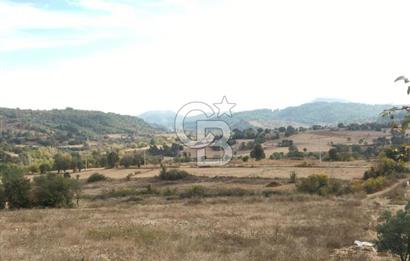 Muğla İli, Menteşe İlçesi, Yenibağyaka Mahallesi, Çelebi Mevkii'nde Satılık Tarla!