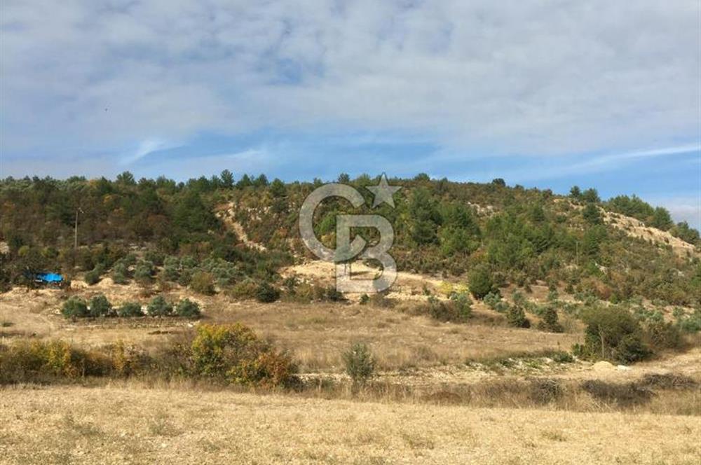 Muğla İli, Menteşe İlçesi, Yenibağyaka Mahallesi, Çelebi Mevkii'nde Satılık Tarla!