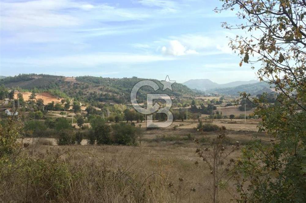 Muğla İli, Menteşe İlçesi, Yenibağyaka Mahallesi, Çelebi Mevkii'nde Satılık Tarla!