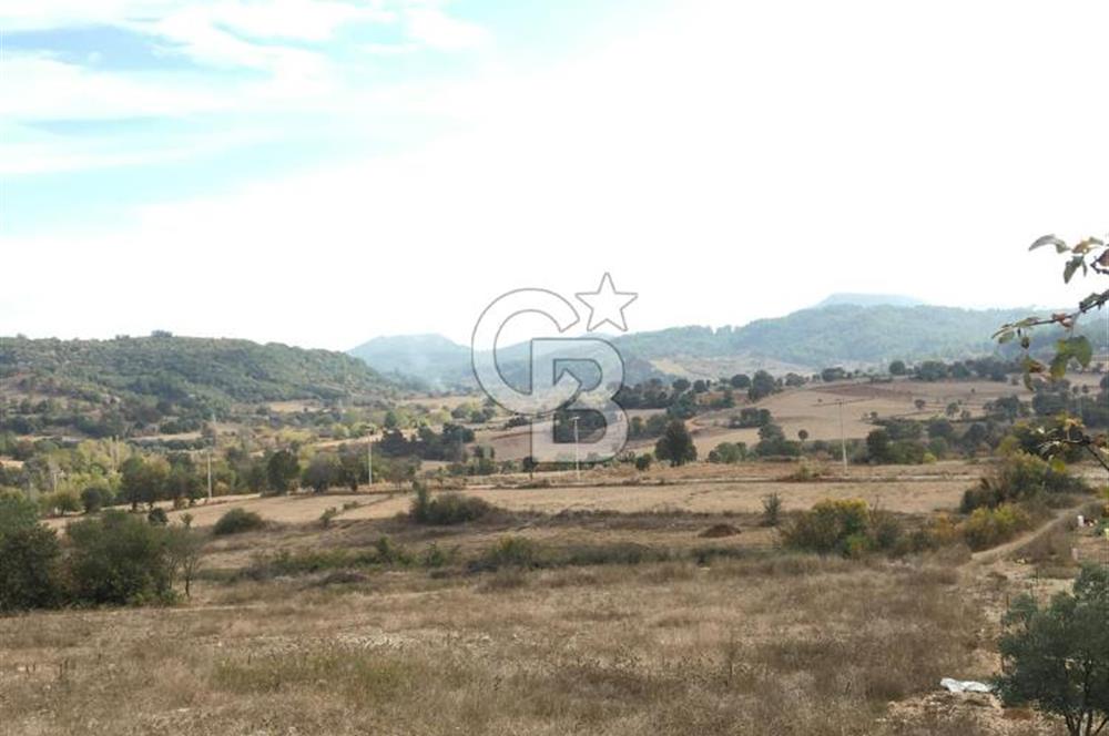 Muğla İli, Menteşe İlçesi, Yenibağyaka Mahallesi, Çelebi Mevkii'nde Satılık Tarla!