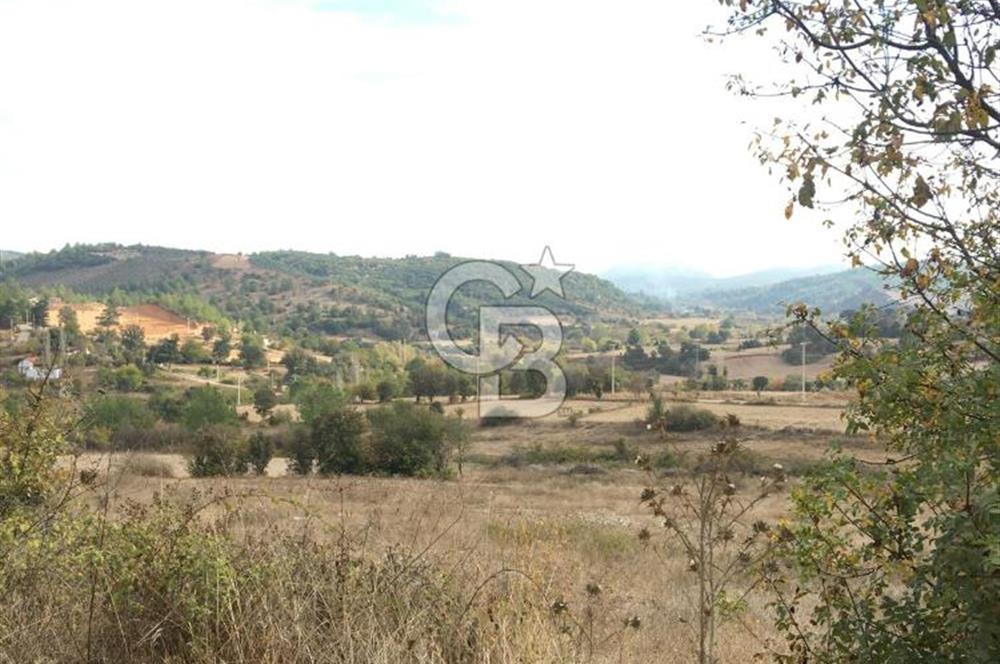 Muğla İli, Menteşe İlçesi, Yenibağyaka Mahallesi, Çelebi Mevkii'nde Satılık Tarla!