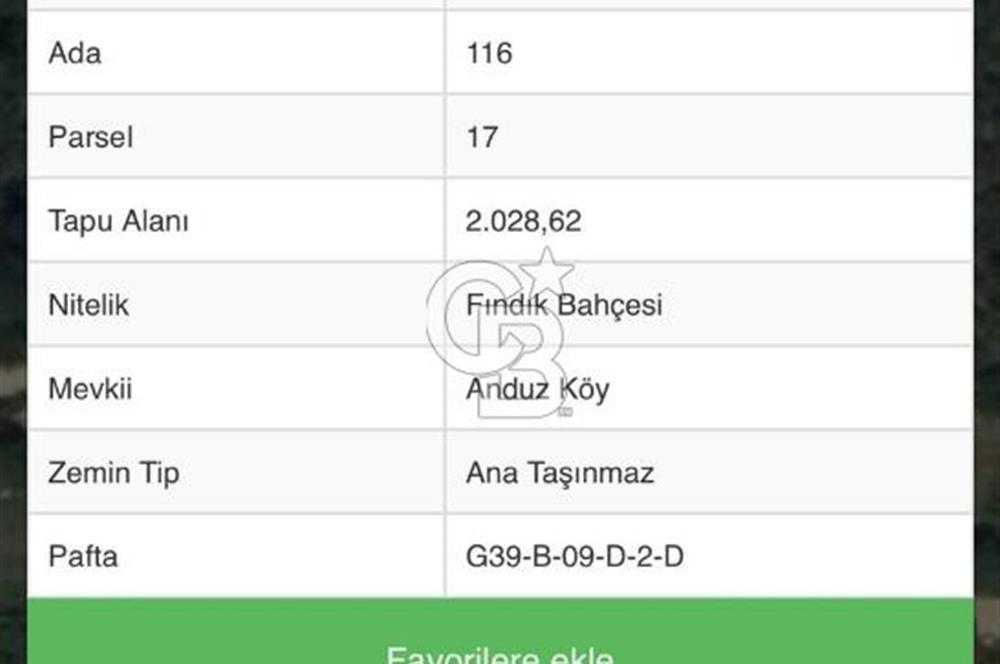ORDU MERKEZ ALEMBEY MAHALLESİNDE FINDIK BAHÇESİ VE 3 KATLI EV