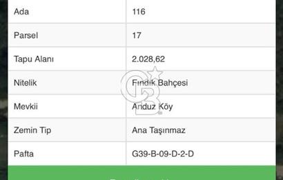 ORDU MERKEZ ALEMBEY MAHALLESİNDE FINDIK BAHÇESİ VE 3 KATLI EV