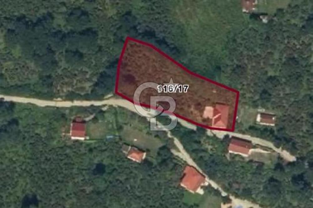 ORDU MERKEZ ALEMBEY MAHALLESİNDE FINDIK BAHÇESİ VE 3 KATLI EV