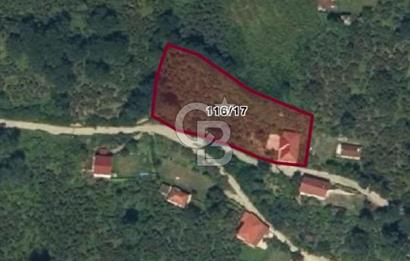 ORDU MERKEZ ALEMBEY MAHALLESİNDE FINDIK BAHÇESİ VE 3 KATLI EV