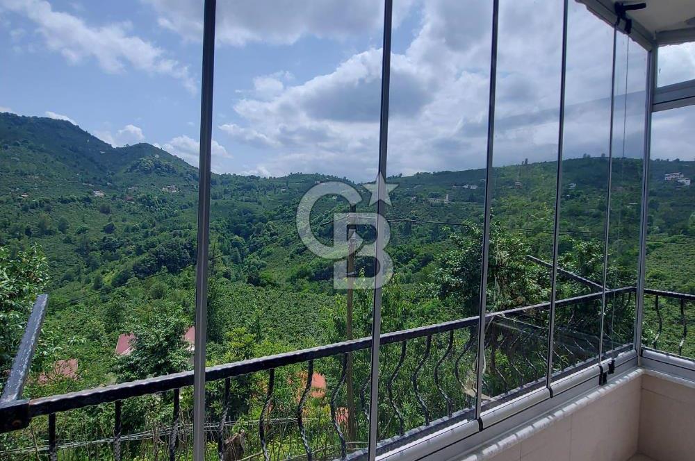 ORDU MERKEZ ALEMBEY MAHALLESİNDE FINDIK BAHÇESİ VE 3 KATLI EV