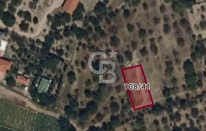 AYAŞ OLTAN/YENİMAHALLE'DE SATILIK ARSA