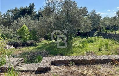 Yakaköy Profesörler Sitesi Yakını Satılık 5+2 Villa 