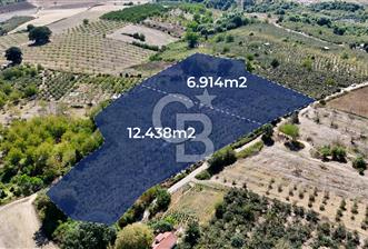 İzmit Akmeşe Satılık 19.352 m2 Değerli Arazi ve Fındıklık