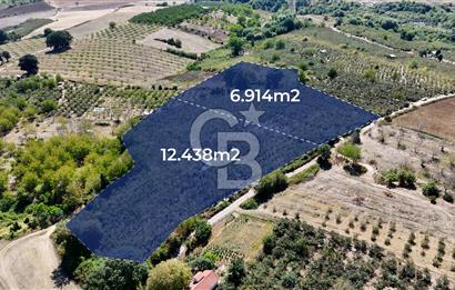 İzmit Akmeşe Satılık 19.352 m2 Değerli Arazi ve Fındıklık