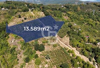 İzmit Akmeşe Satılık 13.589 m2 Değerli Arazi ve Fındıklık