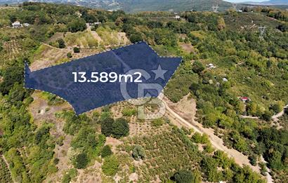 İzmit Akmeşe Satılık 13.589 m2 Değerli Arazi ve Fındıklık