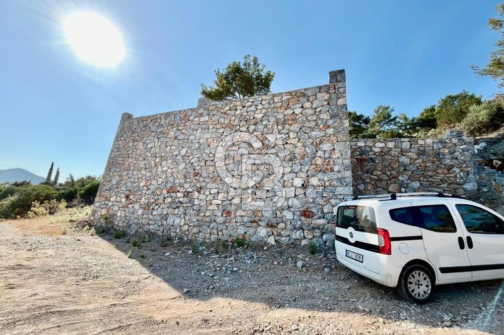 KIYIKIŞLACIK’TA DENİZE 100 METRE ZEYTİNLİK