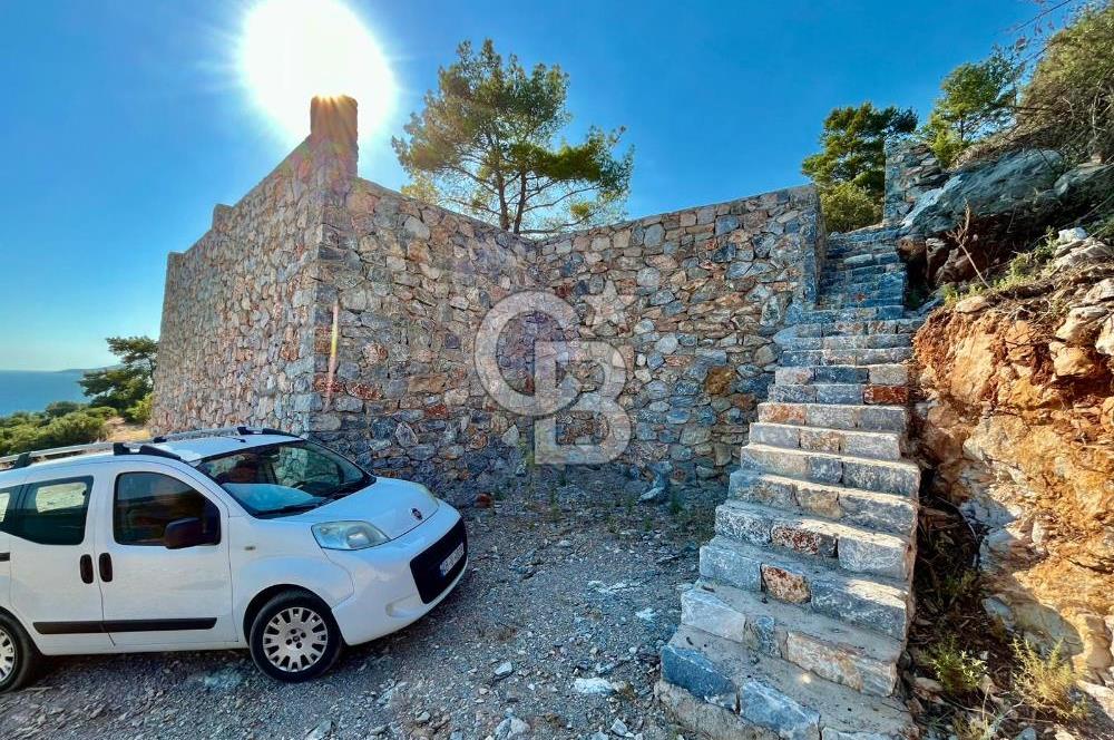 KIYIKIŞLACIK’TA DENİZE 100 METRE ZEYTİNLİK