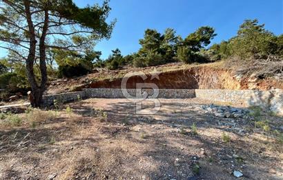 KIYIKIŞLACIK’TA DENİZE 100 METRE ZEYTİNLİK