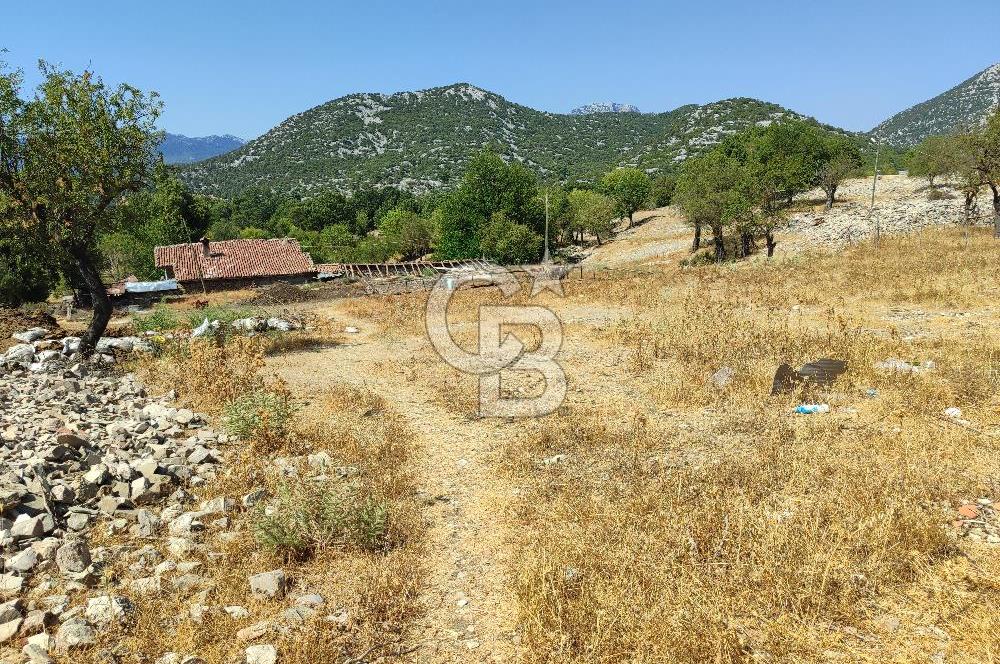 Dikmen'de satılık 371 m2 tarla