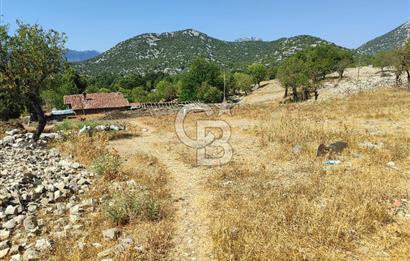 Dikmen'de satılık 371 m2 tarla