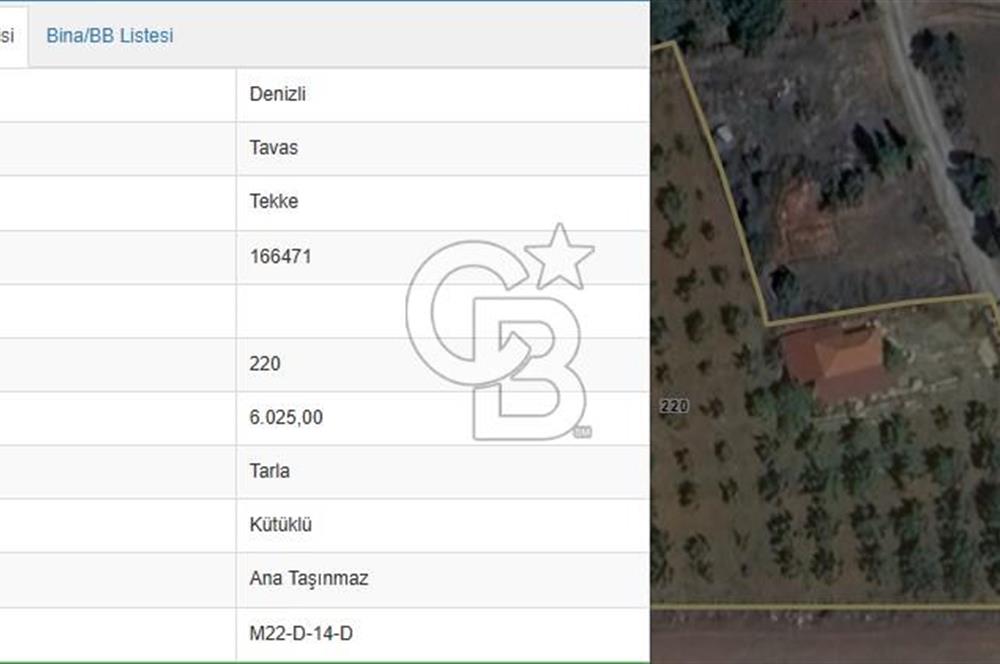 Tavas Tekke Fırsat Satılık 6025 m² Ceviz Bahçesi & Bağ Evi