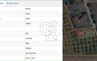 Tavas Tekke Fırsat Satılık 6025 m² Ceviz Bahçesi & Bağ Evi