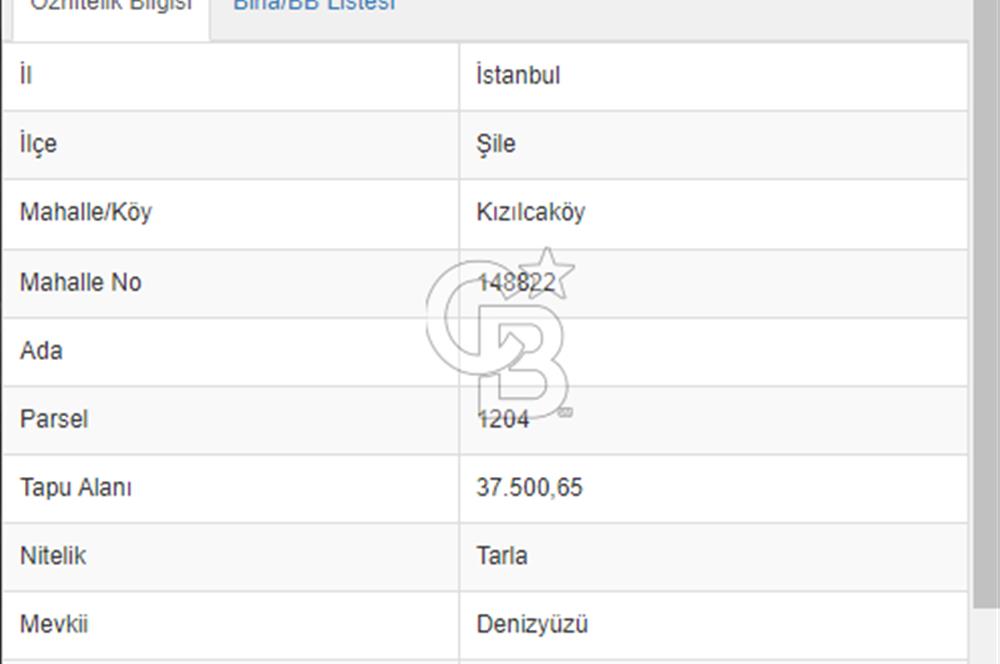 ŞİLE'DE YATIRIM FIRSATI