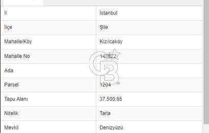 ŞİLE'DE YATIRIM FIRSATI