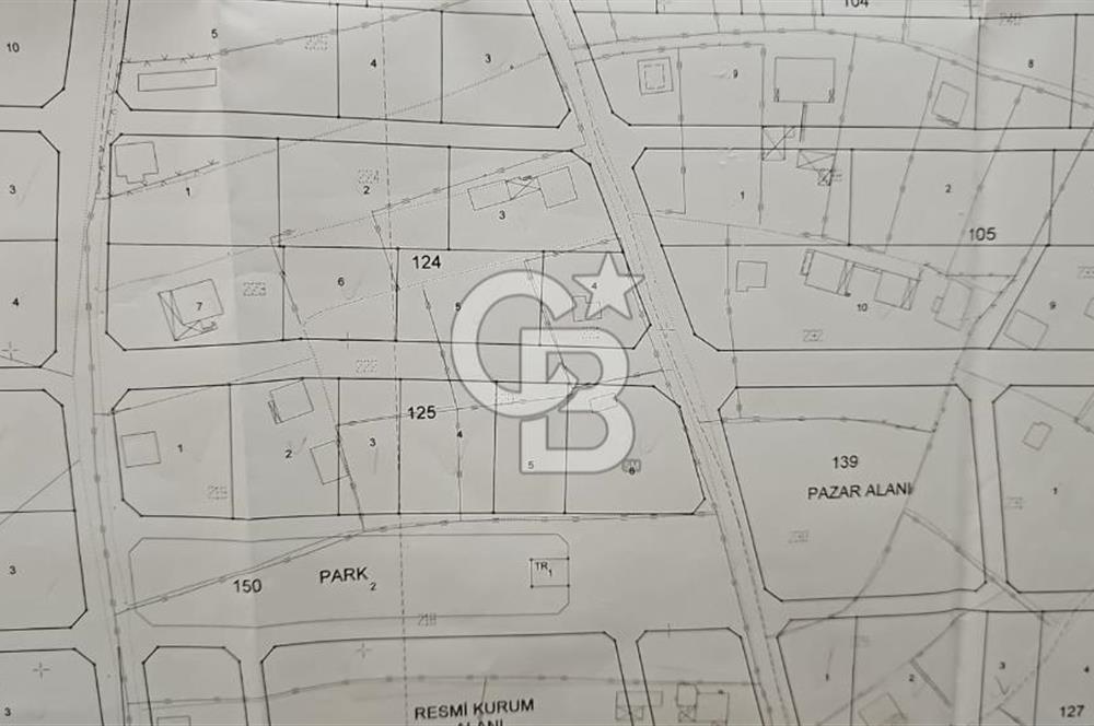 Tavas Tekke Fırsat Satılık 6025 m² Ceviz Bahçesi & Bağ Evi