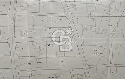 Tavas Tekke Fırsat Satılık 6025 m² Ceviz Bahçesi & Bağ Evi