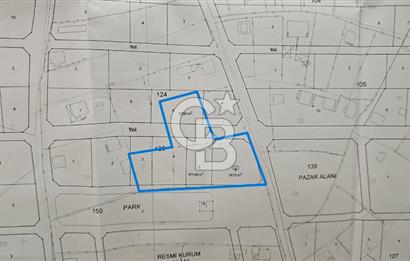Tavas Tekke Fırsat Satılık 6025 m² Ceviz Bahçesi & Bağ Evi